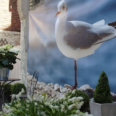Hotel La Petite Cour Trouville-sur-Mer Exteriér fotografie